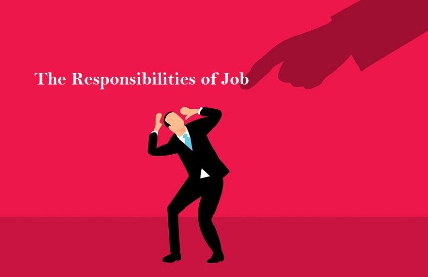 Job responsibilities