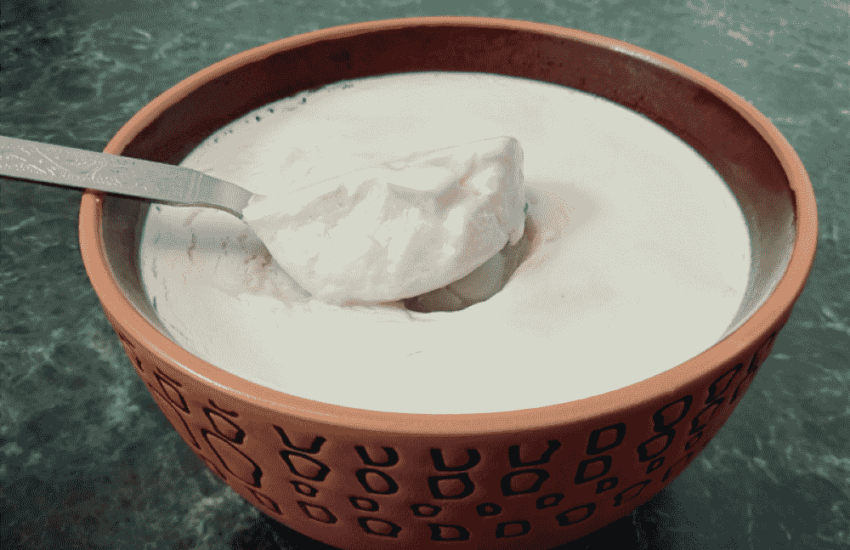 Benefits Of Curd